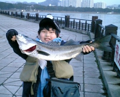 Rj Netschool Fishing Club 1 5 海の公園 シーバス 64cm