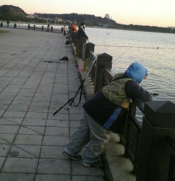 2010_1_17seapark
