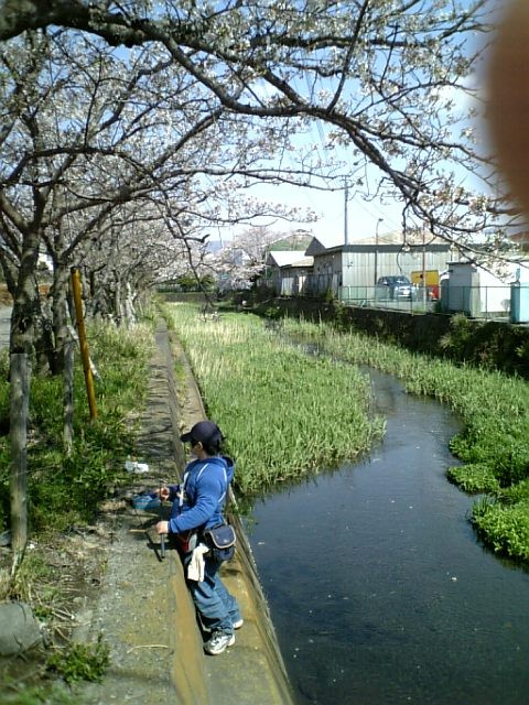 10_4_3gotengawa