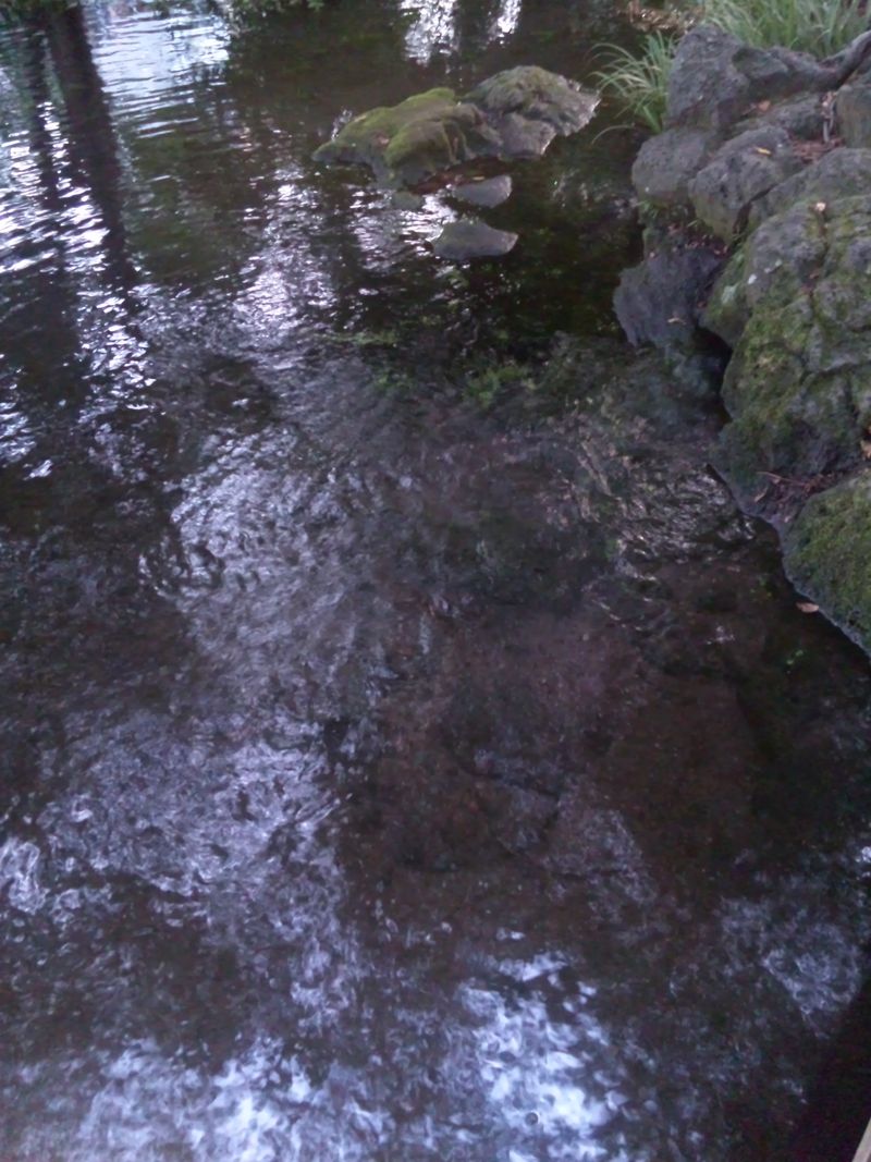 DVC00033