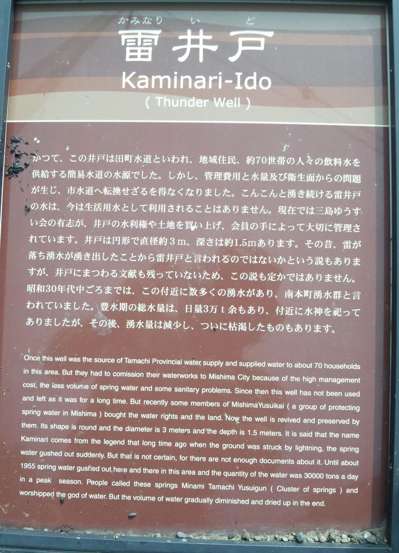 Kaminari-ido_m