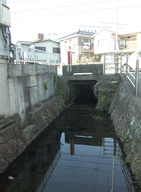 Suimon