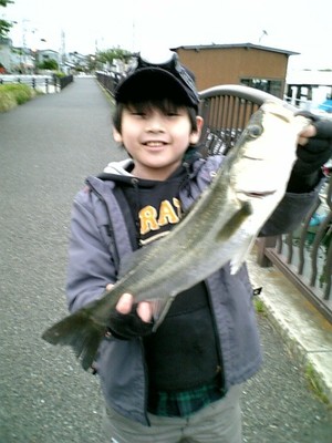 090424seabass_2